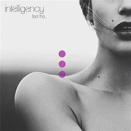 Intelligency - Feel The (2013)